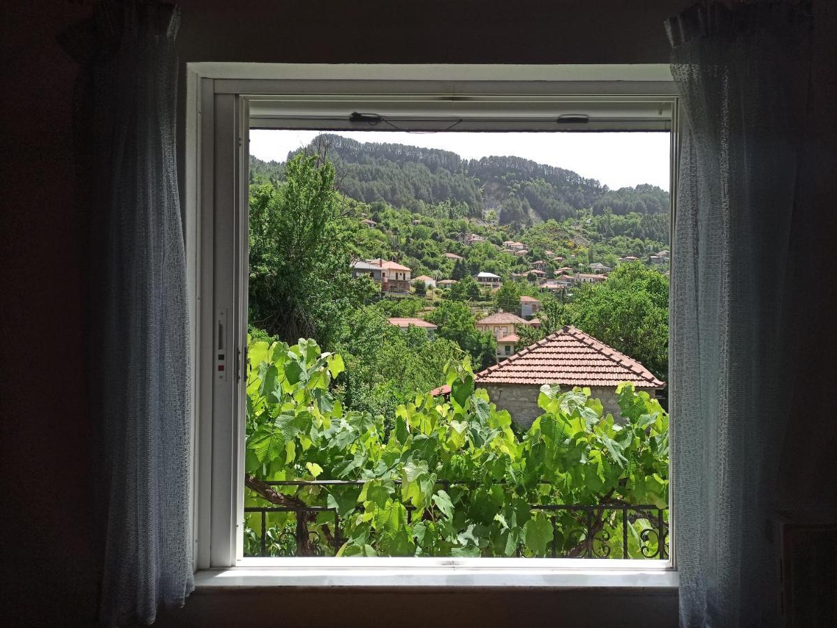 Villa Elli΄S House Συγχρονο Σπιτι Στα Πραμαντα Pramanta Esterno foto